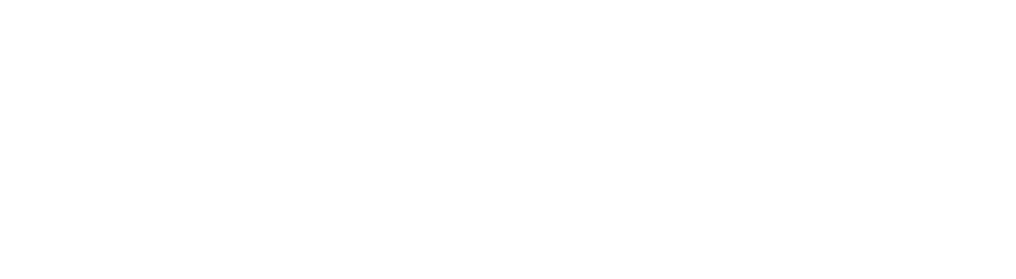 netapp logo white